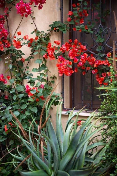 カブラス Casa Di Bettyヴィラ エクステリア 写真